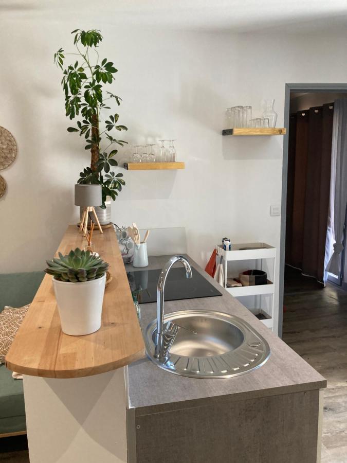 Bienvenue Chez Marie Pierre Lejlighed Oloron-Sainte-Marie Eksteriør billede
